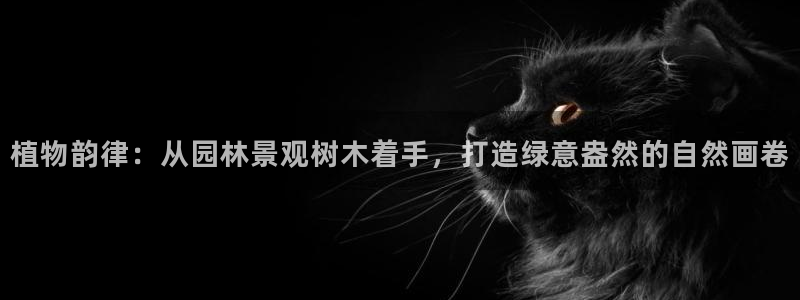 摩根娱乐宝怎么赚钱