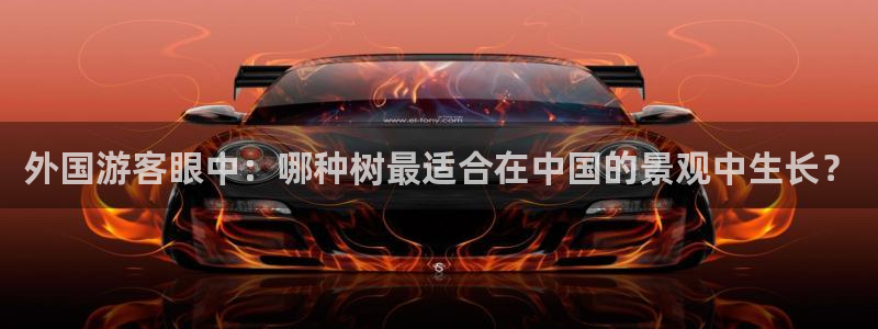 摩根娱乐黑别人网站