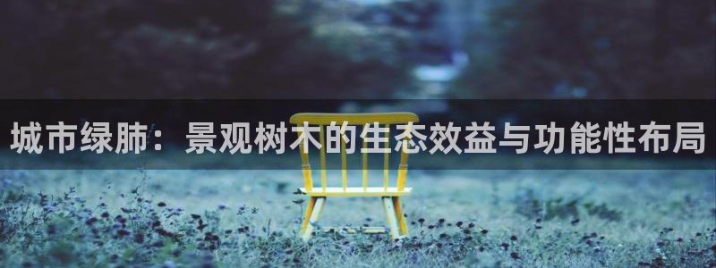 摩根娱乐包是什么意思