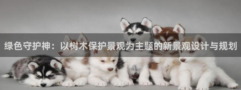 奥飞娱乐摩根调研