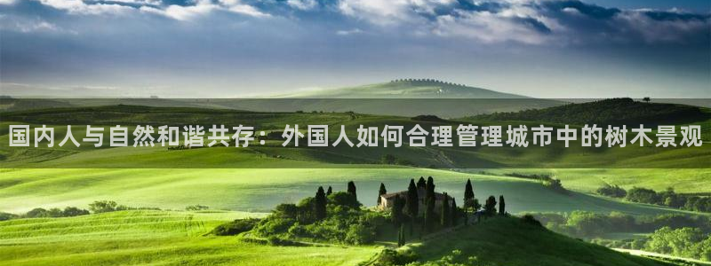 摩根娱乐二三事