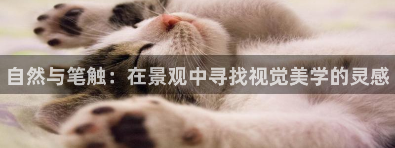 摩根娱乐宝怎么提现：自然与笔触：在景观中寻找视觉美学的灵感