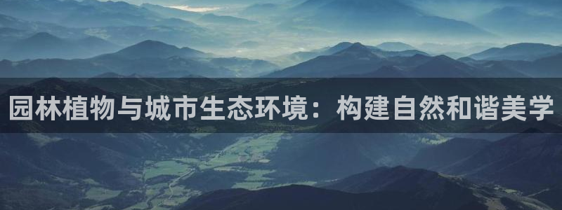 摩根娱乐宝打不开