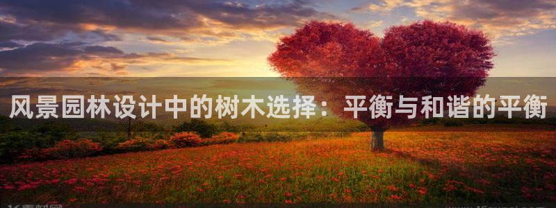 摩根娱乐包是什么