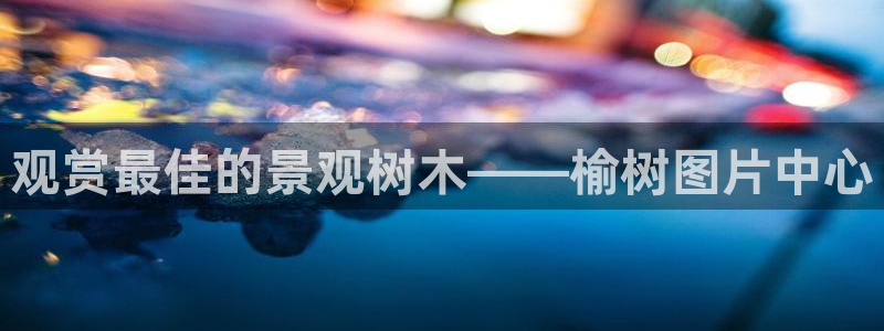 摩根娱乐视频大全