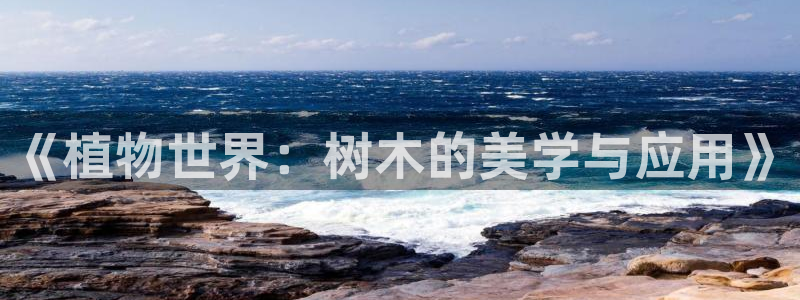 摩根娱乐宝怎么赚钱