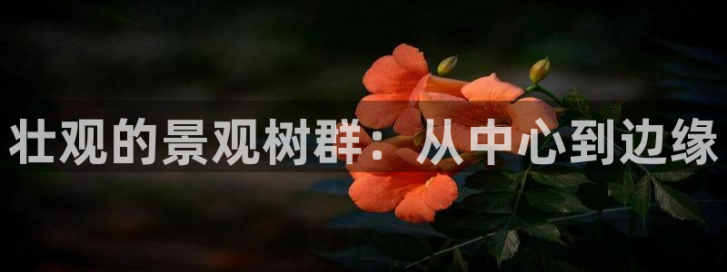 摩根娱乐彩票挂机