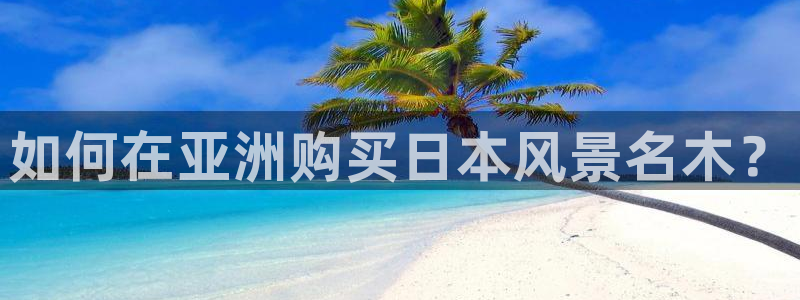 摩根娱乐 1老j板50820