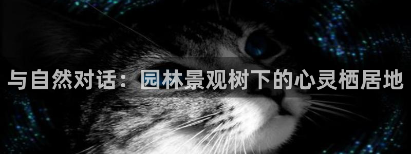 摩根国际娱乐宝合法吗