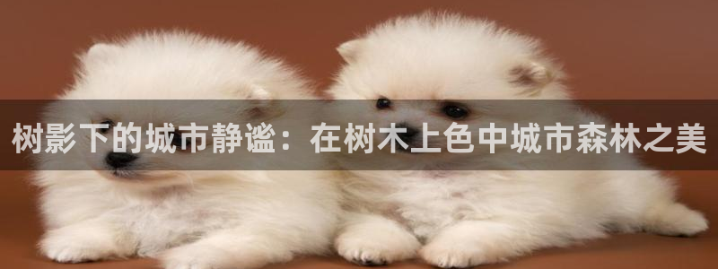 昆明滇池路摩根道娱乐