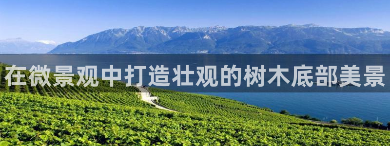 临平摩根娱乐会所怎么样：在微景观中打造壮观的树木底部美景