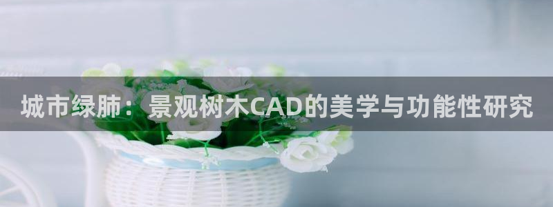 摩根娱乐_ c招a商77130：城市绿肺：景观树木CAD的美学与功能性研究