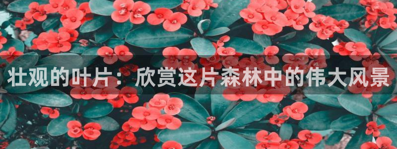 摩根娱乐宝怎么赚钱的