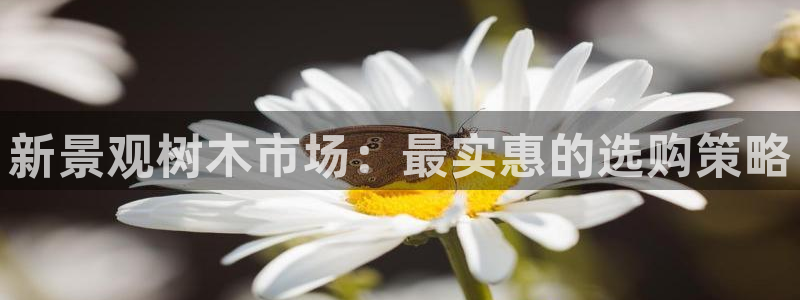 摩根娱乐文化有限公司