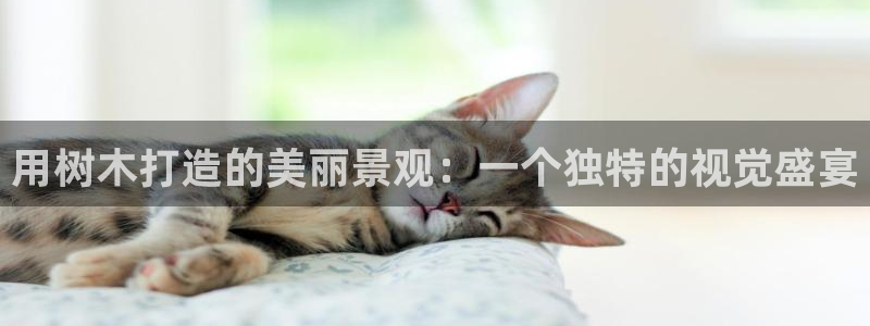 漳州摩根会娱乐