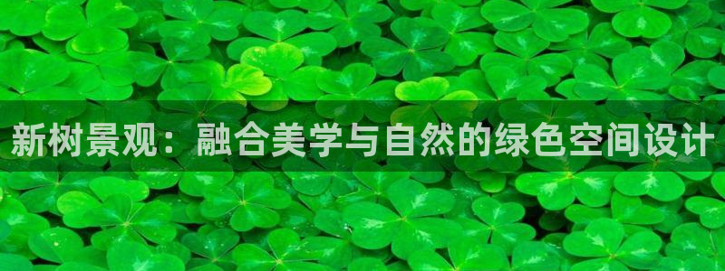 白宫摩根娱乐地址