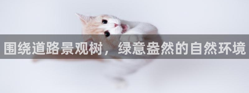 摩根娱乐文化有限公司