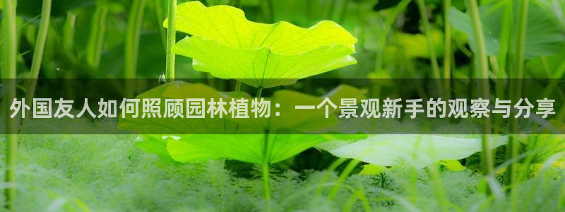 摩根娱乐宝手机客户端