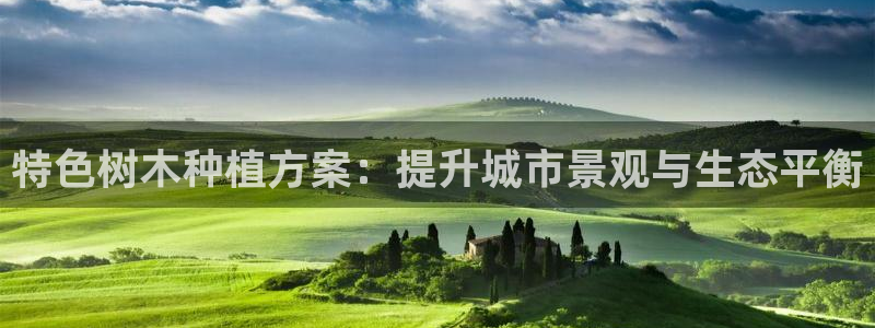 摩根娱乐创始人