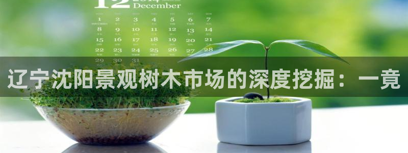 摩根娱乐平台黑