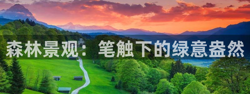 摩根娱乐挂机项目是什么：森林景观：笔触下的绿意盎然