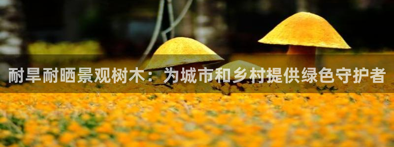 摩根娱乐L老L板50820