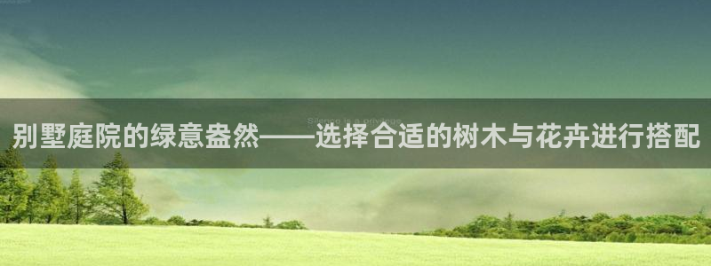 济宁摩根国际娱乐