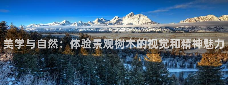摩根娱乐dj：美学与自然：体验景观树木的视觉和精神魅力