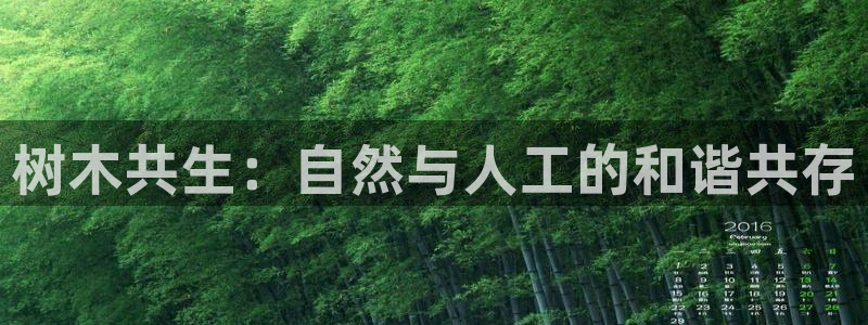 摩根娱乐宝是什么游戏：树木共生：自然与人工的和谐共存