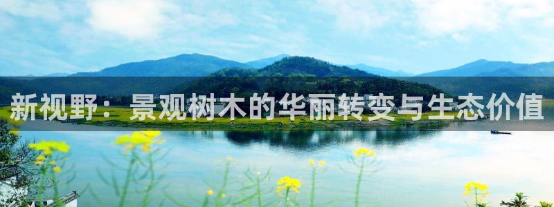 摩根娱乐开户总s管50015 18