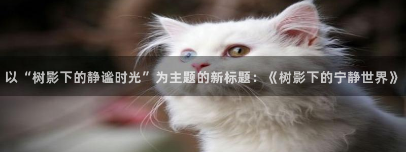 摩根娱乐怎么样