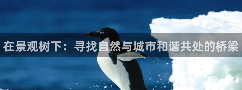 摩根合约娱乐宝：在景观树下：寻找自然与城市和谐共处的桥梁