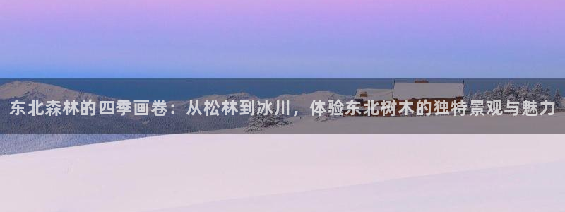 摩根国际娱乐宝书籍