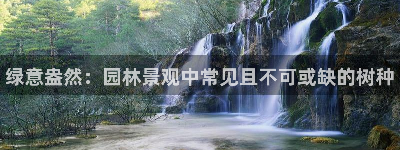 海贼王之娱乐摩根斯