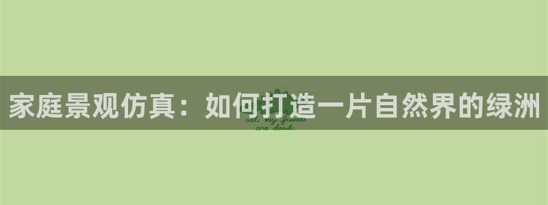 摩根娱乐宝可靠不