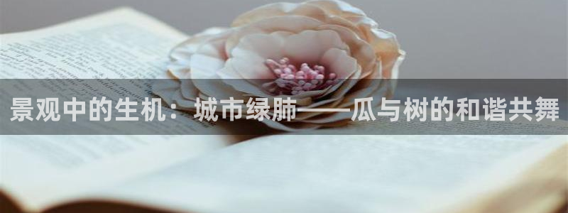 摩根娱乐 实c力77310