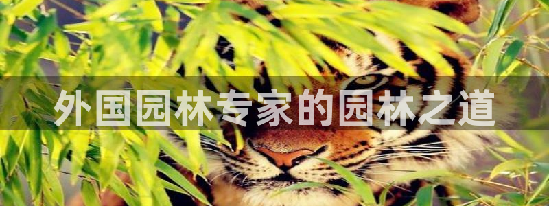 杭州市摩根国际娱乐会所