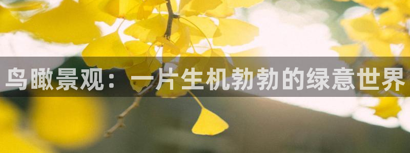 摩根娱乐宝平台