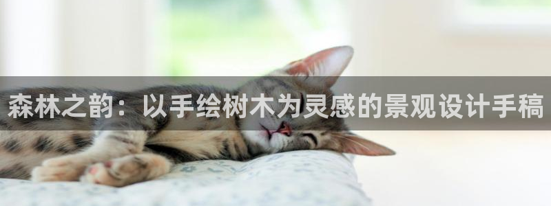 摩根国际娱乐宝