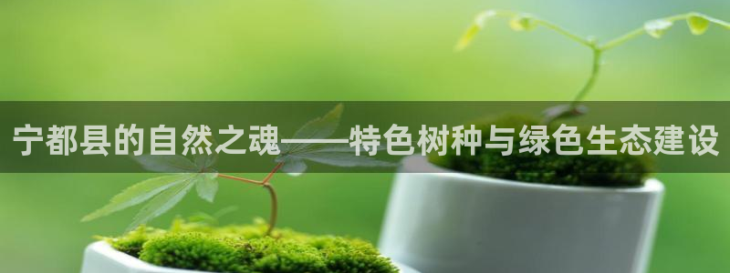 摩根娱乐宝软件下载：宁都县的自然之魂——特色树种与绿色生态建设