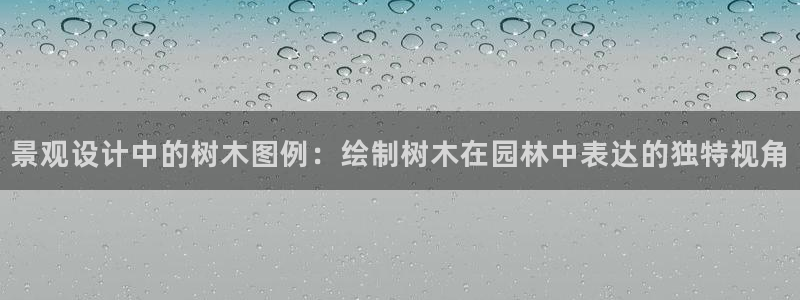 摩根娱乐和摩根国际