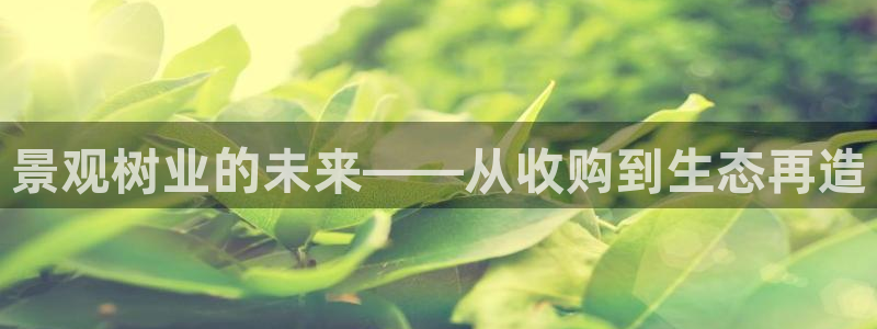 成都摩根娱乐会所