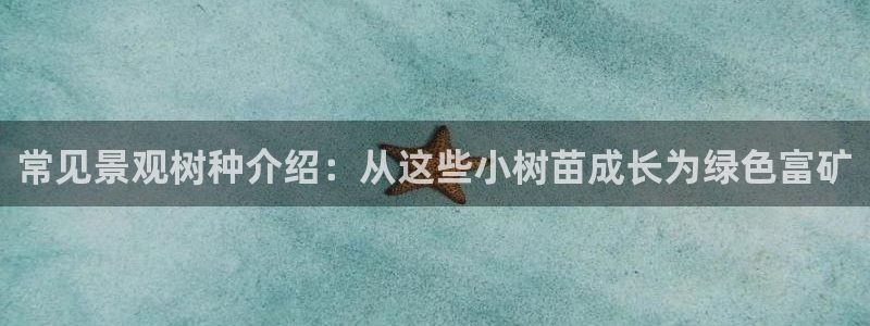 摩根娱乐50186联系