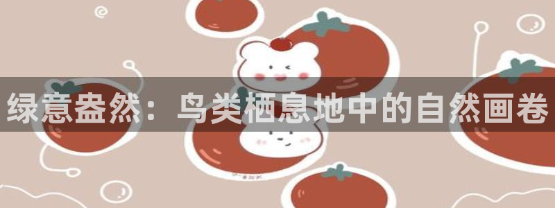 摩根国际娱乐宝进不去