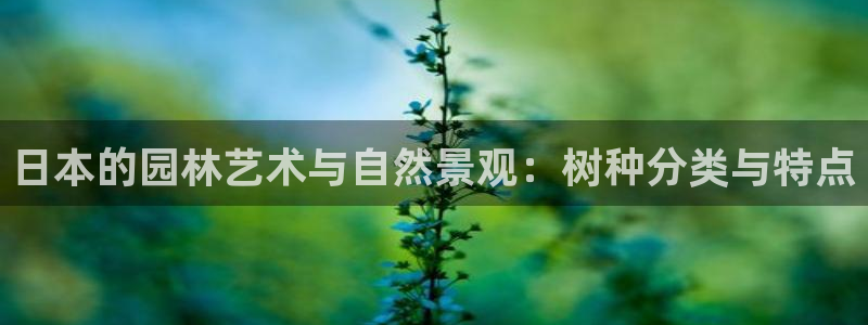 摩根娱乐宝可靠不：日本的园林艺术与自然景观：树种分类与特点