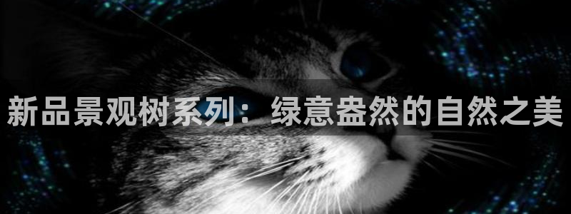 摩根合约娱乐宝