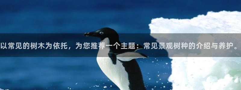 临平摩根娱乐会所电话
