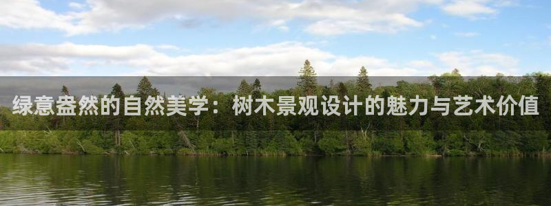 摩根360娱乐