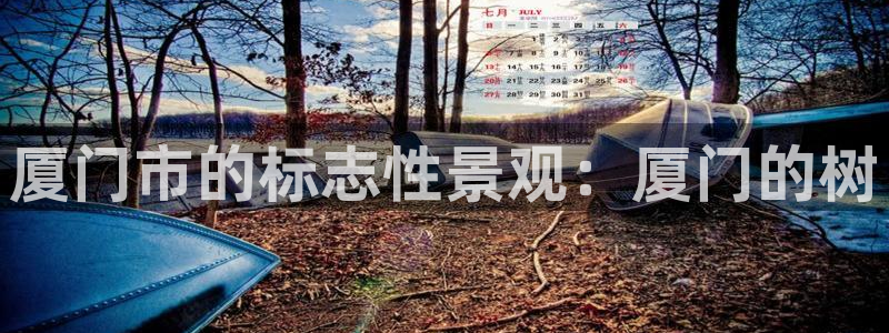 摩根娱乐宝账户