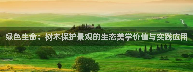 摩根360休闲娱乐